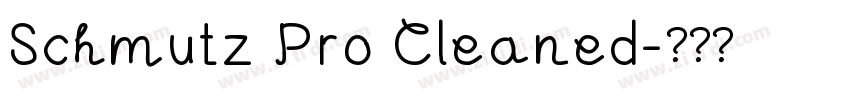 Schmutz Pro Cleaned字体转换